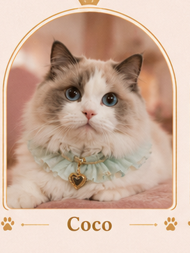 coco